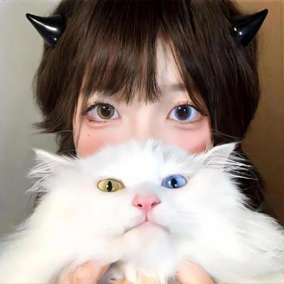 胖子行动队