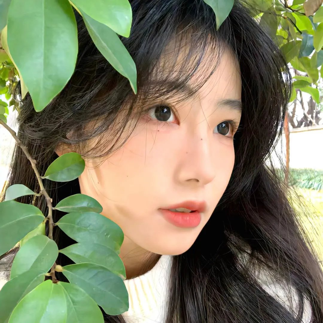 迈阿密的一夜
